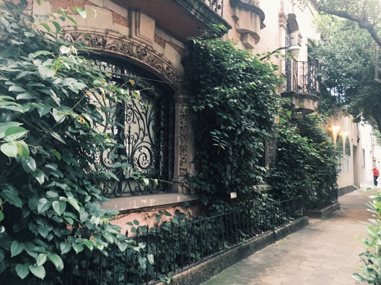 Processed with VSCO with g3 preset