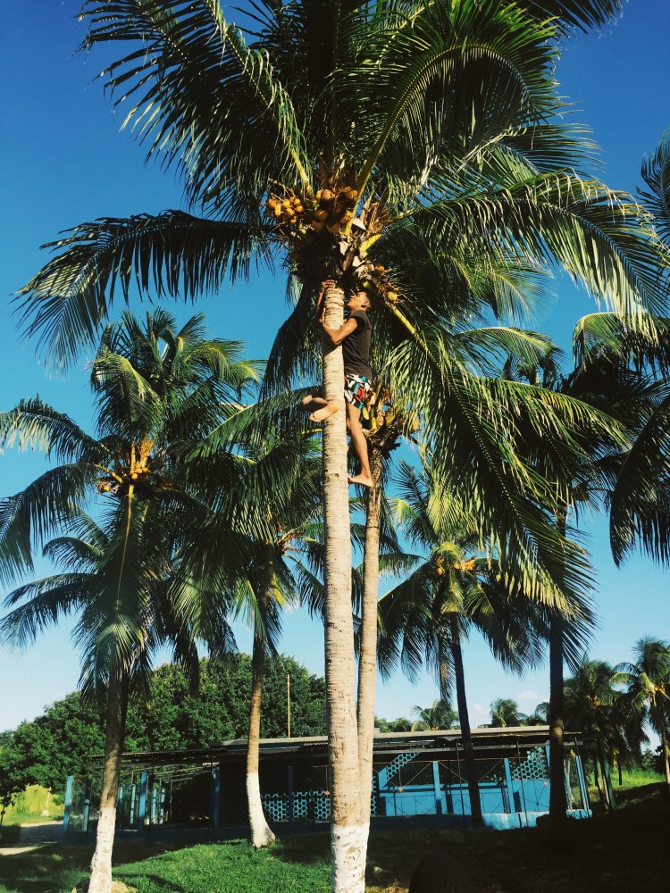 Processed with VSCO with g3 preset